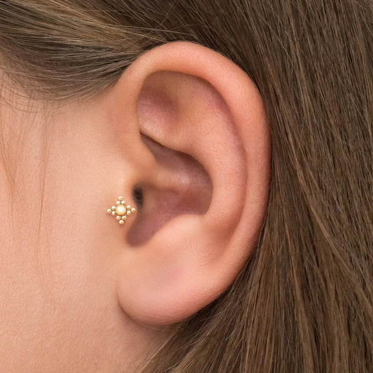 Surgical Steel Forward Helix Earring Stud - TitaniumFashion