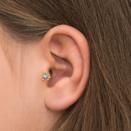 Surgical Steel Tragus Stud - TitaniumFashion
