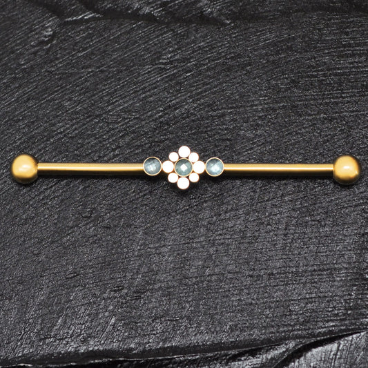Surgical Steel Industrial Barbell 14g - TitaniumFashion