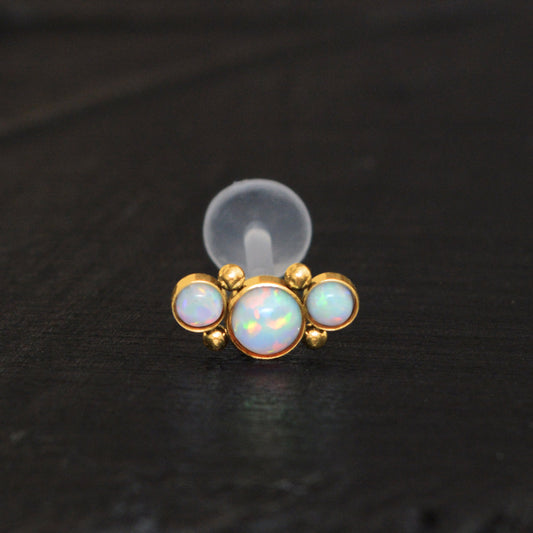 Cartilage Curved Bar Earring Bioflex - TitaniumFashion