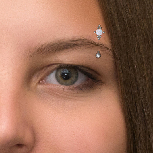 Rook Earring Surgical Steel - TitaniumFashion