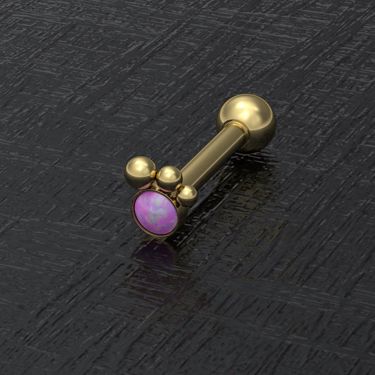 Surgical Steel Cartilage Piercing - TitaniumFashion