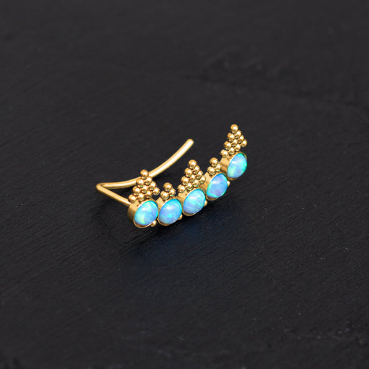 Surgical Steel Ear Crawler Earrings - TitaniumFashion