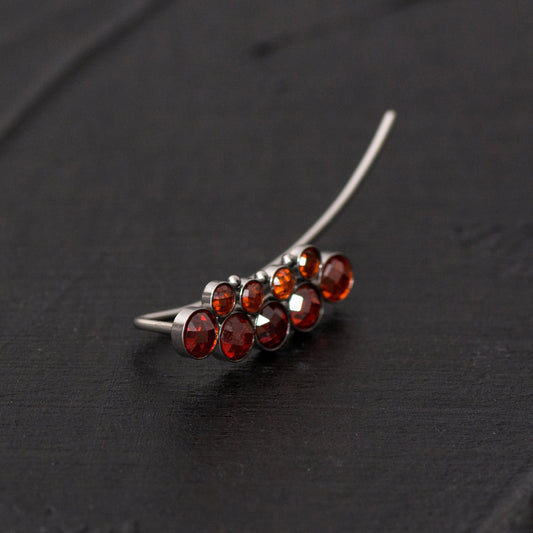 Up The Ear Earrings Surgical Steel - TitaniumFashion