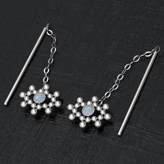 Drop Dangle Earrings Surgical Steel - TitaniumFashion