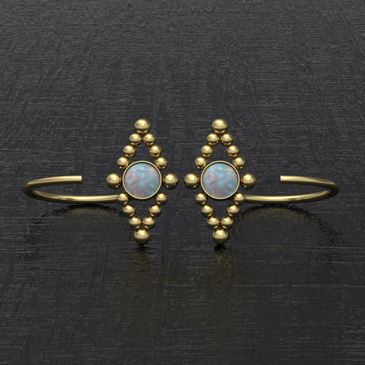 Small Hoop Earrings Surgical Steel - TitaniumFashion