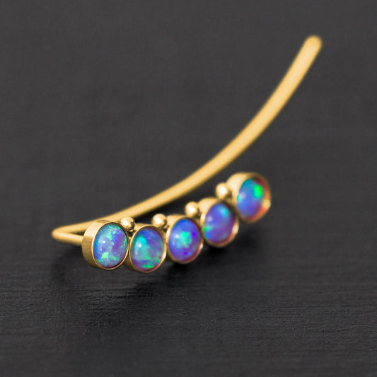 Climbing Earrings Surgical Steel - TitaniumFashion