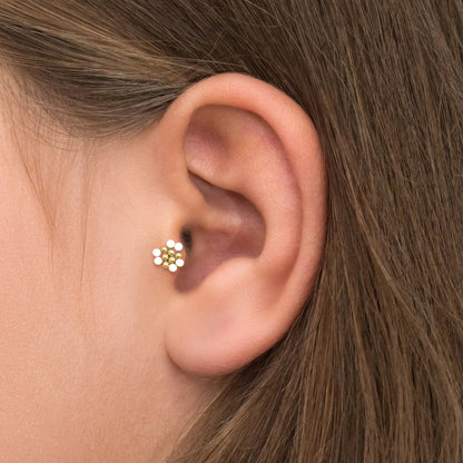 Bioflex Tragus Stud - TitaniumFashion