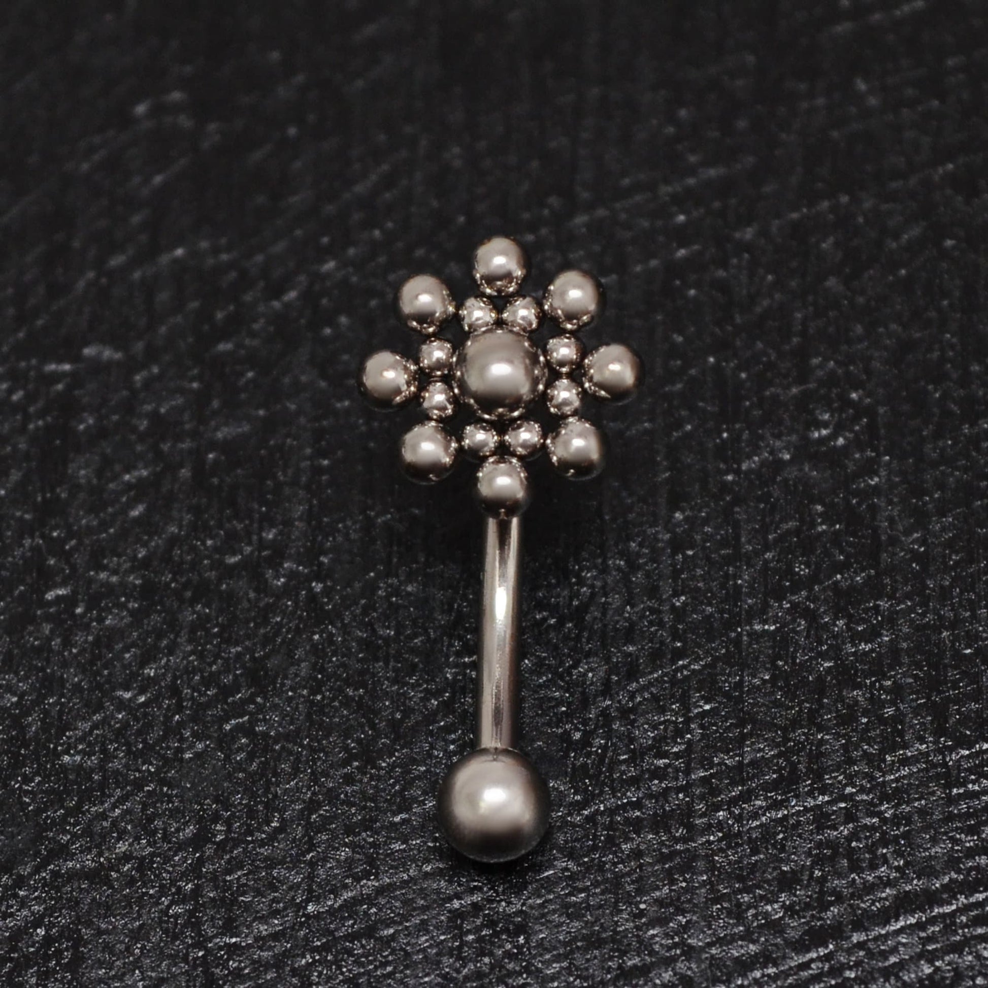 Titanium Rook Earring - TitaniumFashion