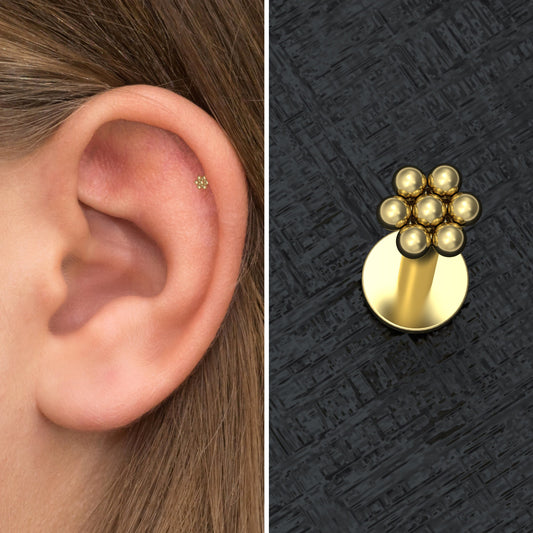 Forward Helix Earring Surgical Steel - TitaniumFashion