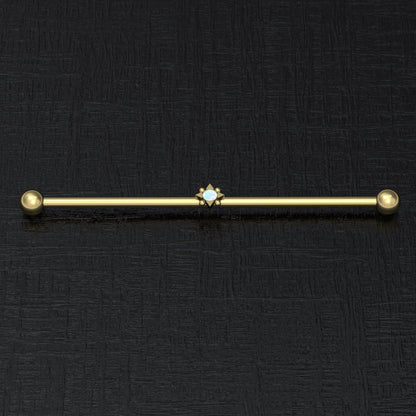 Surgical Steel Industrial Barbell 14g - TitaniumFashion