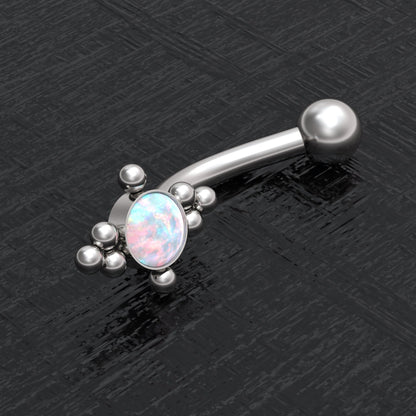 Rook Earring Surgical Steel - TitaniumFashion