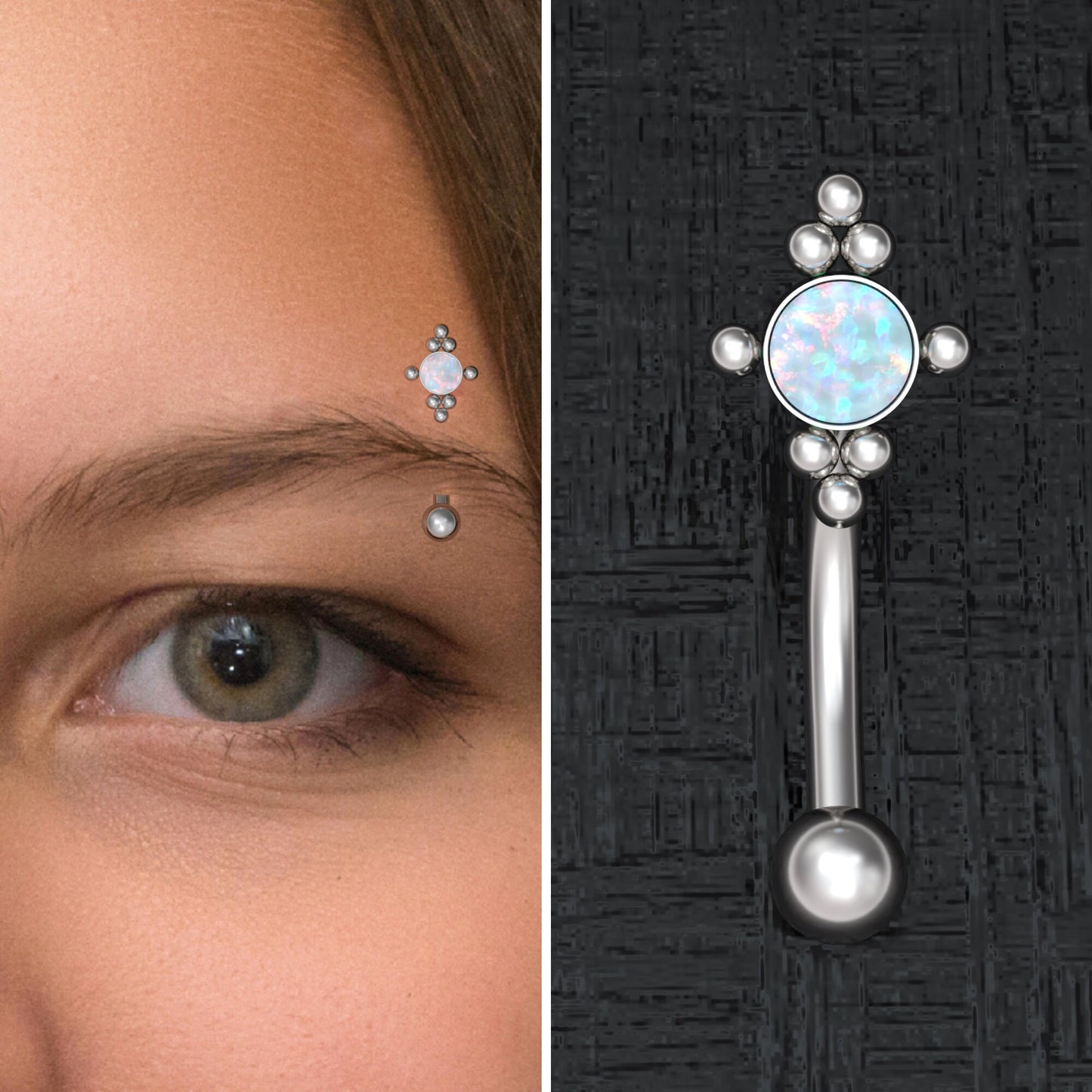 Rook Earring Surgical Steel - TitaniumFashion