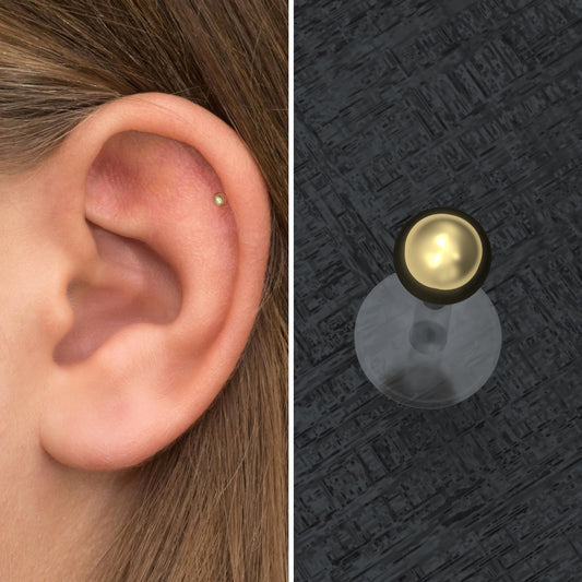 Cartilage Piercing Bioflex - TitaniumFashion