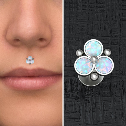 Opal Lip Labret Titanium - TitaniumFashion