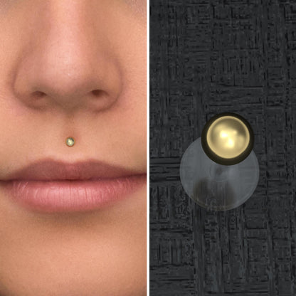 Lip Labret Bioflex - TitaniumFashion