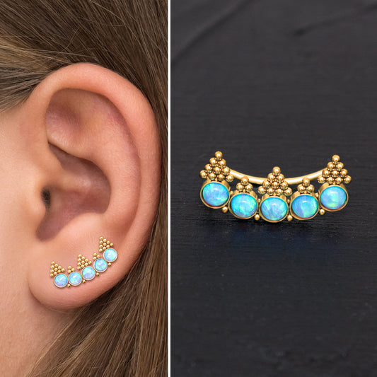 Surgical Steel Ear Crawler Earrings - TitaniumFashion