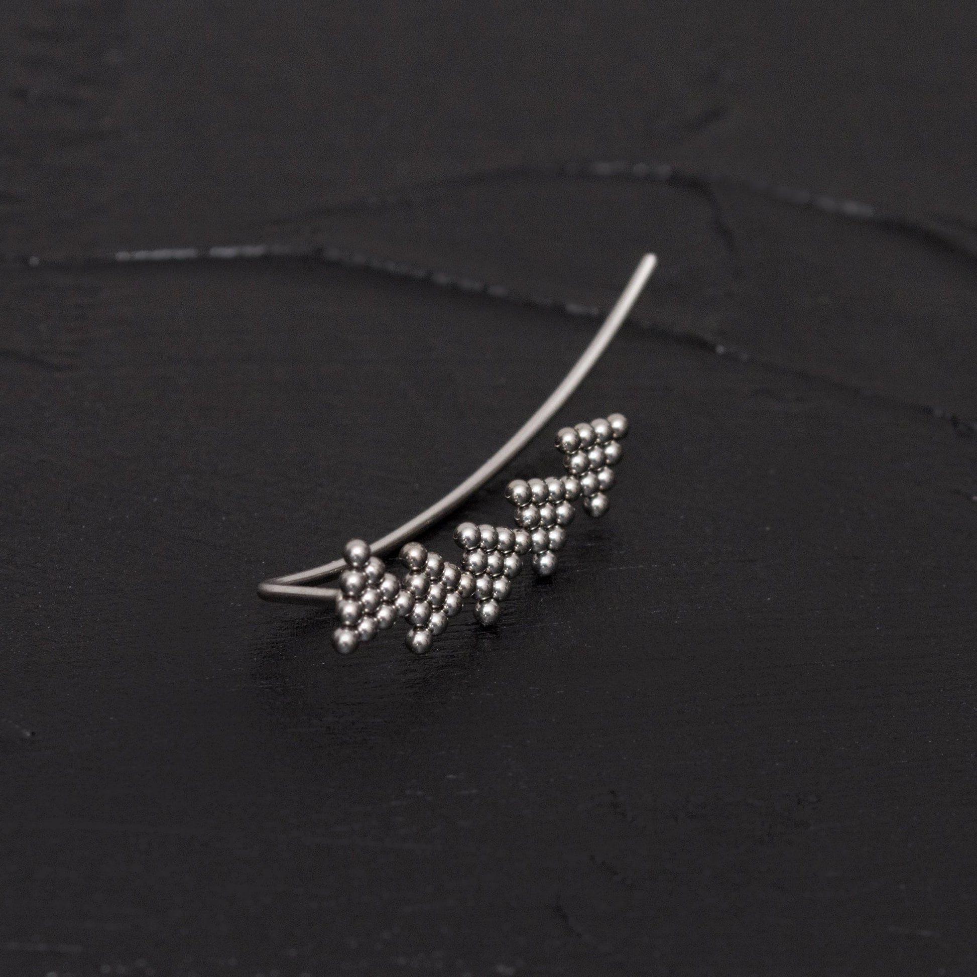 Surgical Steel Ear Crawler Earrings - TitaniumFashion