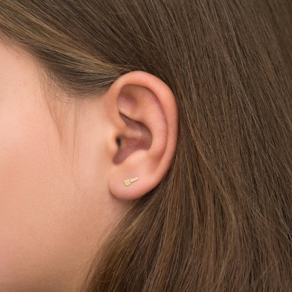 Up The Ear Earrings Surgical Steel - TitaniumFashion