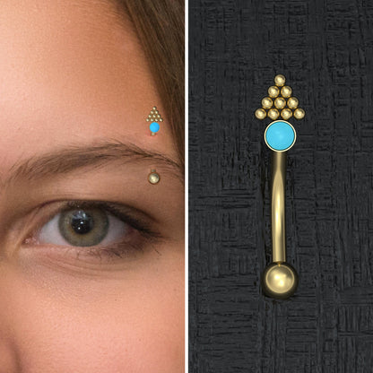 Rook Earring Surgical Steel - TitaniumFashion