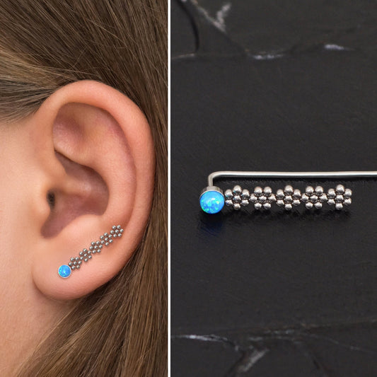 Climbing Earrings Surgical Steel - TitaniumFashion