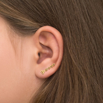 Ear Climber Earrings Surgical Steel - TitaniumFashion