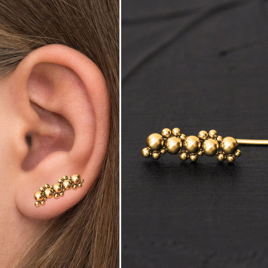 Climbing Earrings Surgical Steel - TitaniumFashion