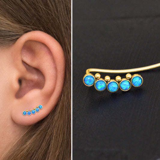 Climber Earrings Surgical Steel - TitaniumFashion