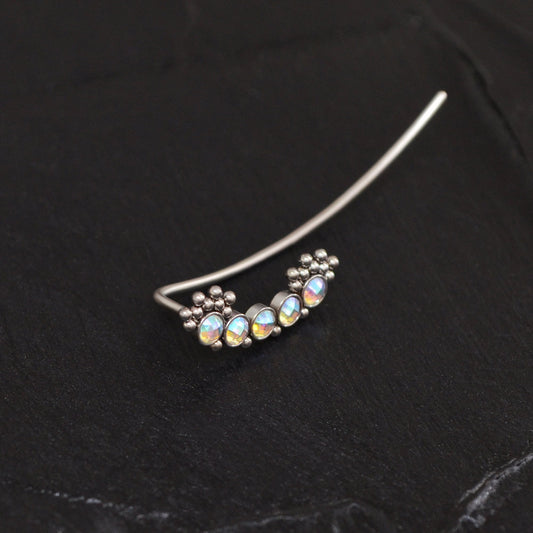 Surgical Steel Ear Crawler Earrings - TitaniumFashion