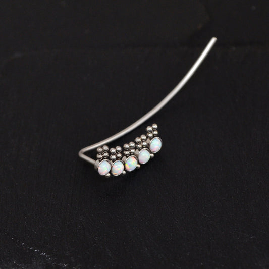 Climber Earrings Surgical Steel - TitaniumFashion