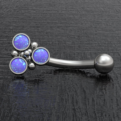 Rook Earring Titanium Implant Grade - TitaniumFashion