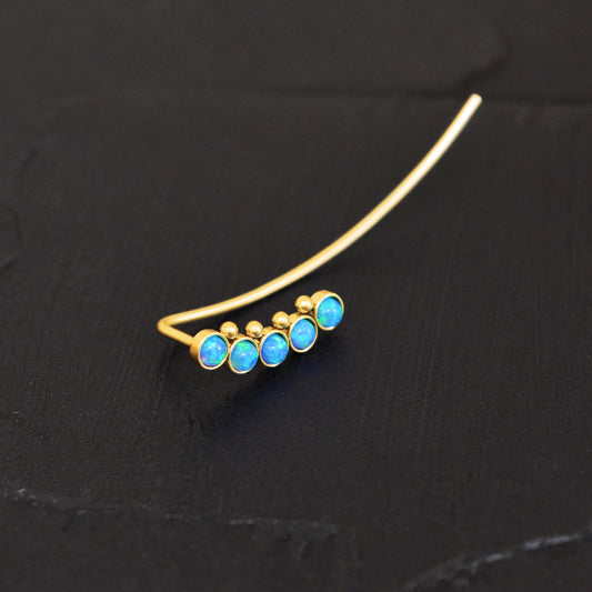 Climber Earrings Surgical Steel - TitaniumFashion