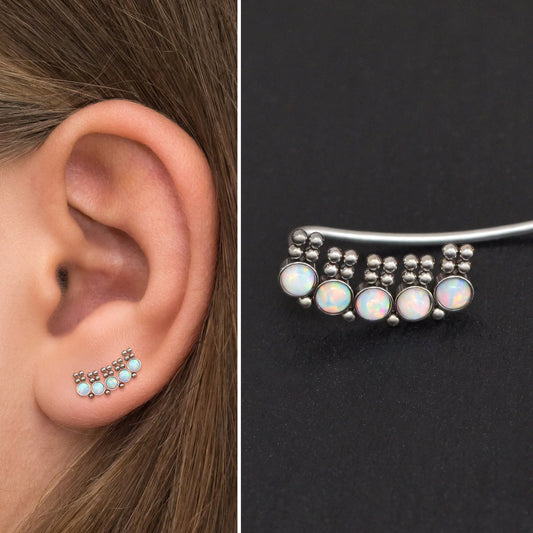 Climber Earrings Surgical Steel - TitaniumFashion