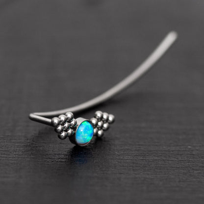 Climbing Earrings Surgical Steel - TitaniumFashion