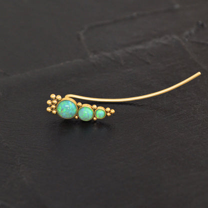 Climber Earrings Surgical Steel - TitaniumFashion