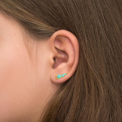 Climber Earrings Surgical Steel - TitaniumFashion