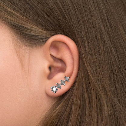 Climbing Earrings Surgical Steel - TitaniumFashion