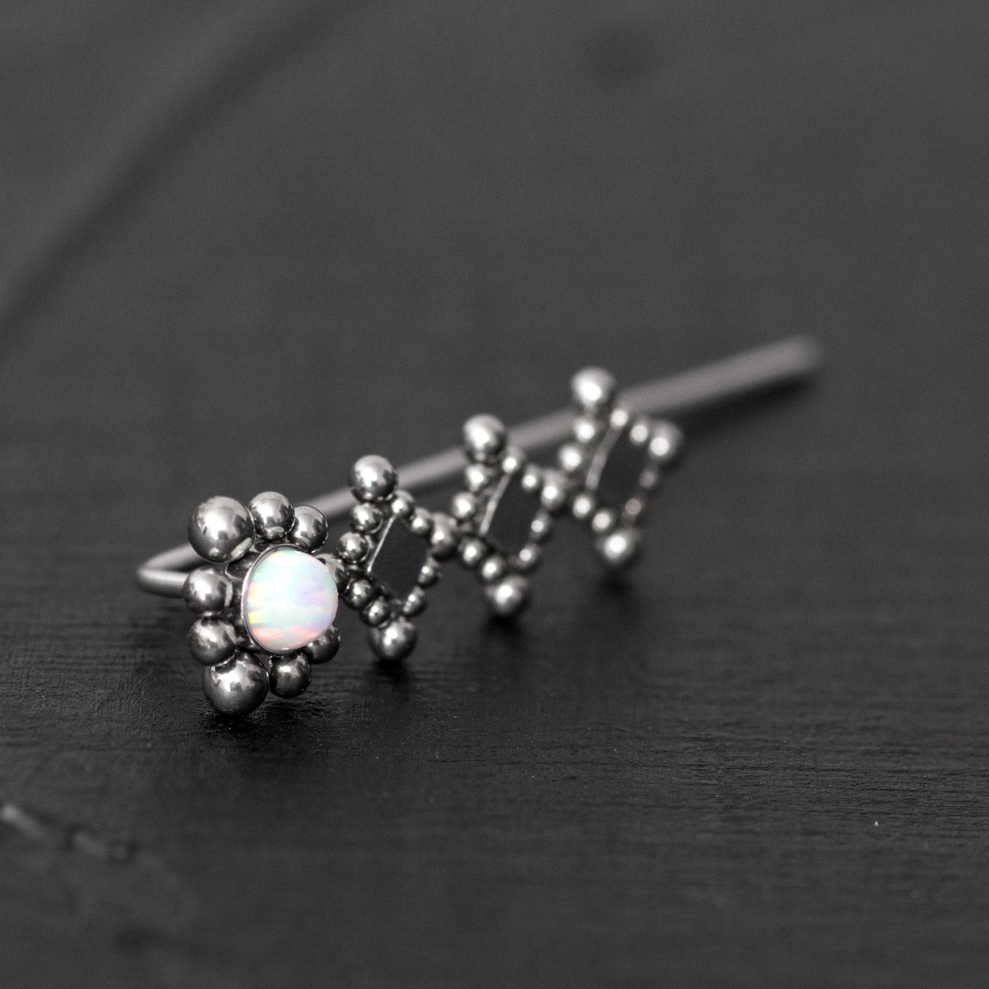 Climbing Earrings Surgical Steel - TitaniumFashion