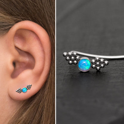 Climbing Earrings Surgical Steel - TitaniumFashion