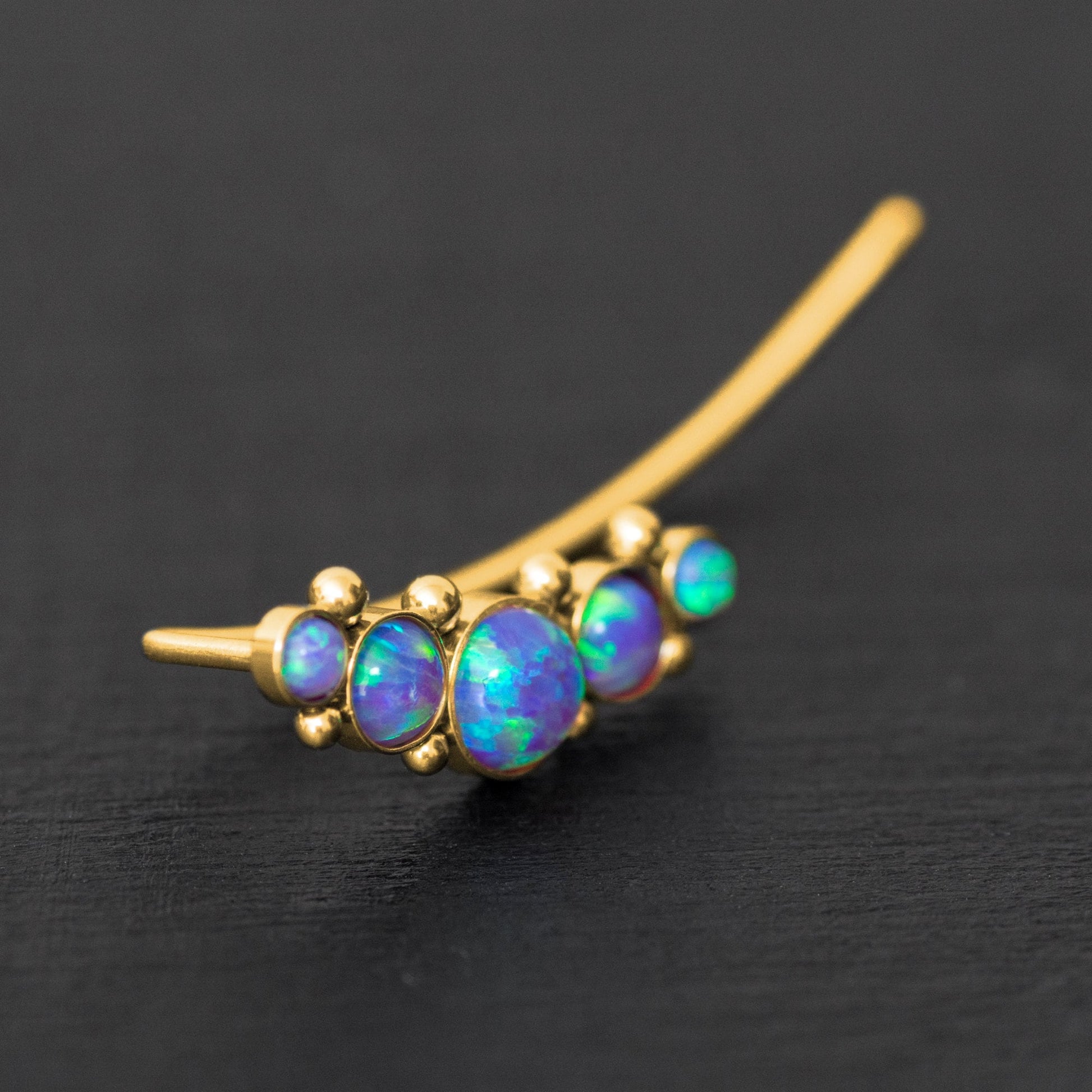 Climbing Earrings Surgical Steel - TitaniumFashion