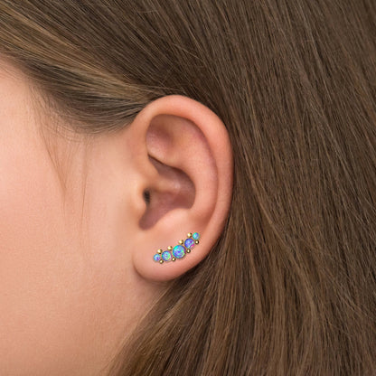 Climbing Earrings Surgical Steel - TitaniumFashion