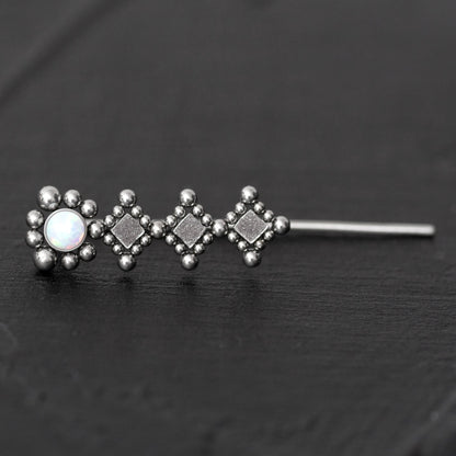 Climbing Earrings Surgical Steel - TitaniumFashion