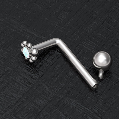 Surgical Steel Christina Piercing 14g - TitaniumFashion