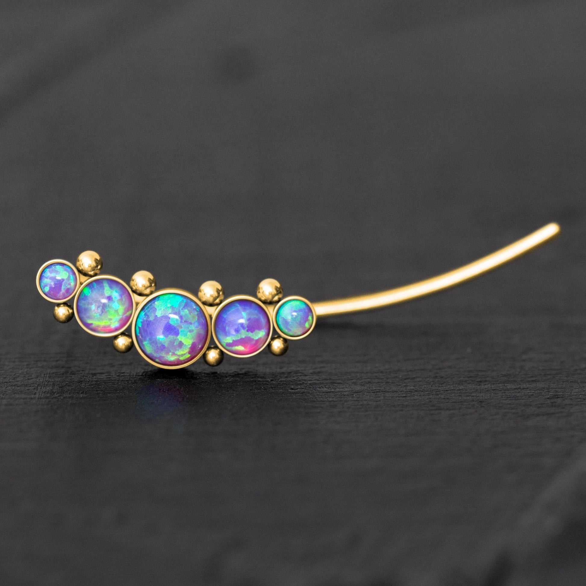 Climbing Earrings Surgical Steel - TitaniumFashion