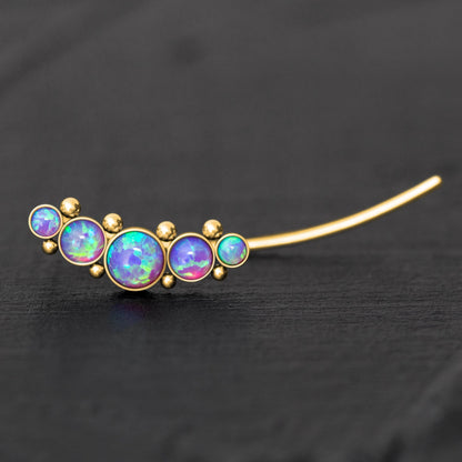 Climbing Earrings Surgical Steel - TitaniumFashion