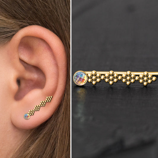 Climbing Earrings Surgical Steel - TitaniumFashion