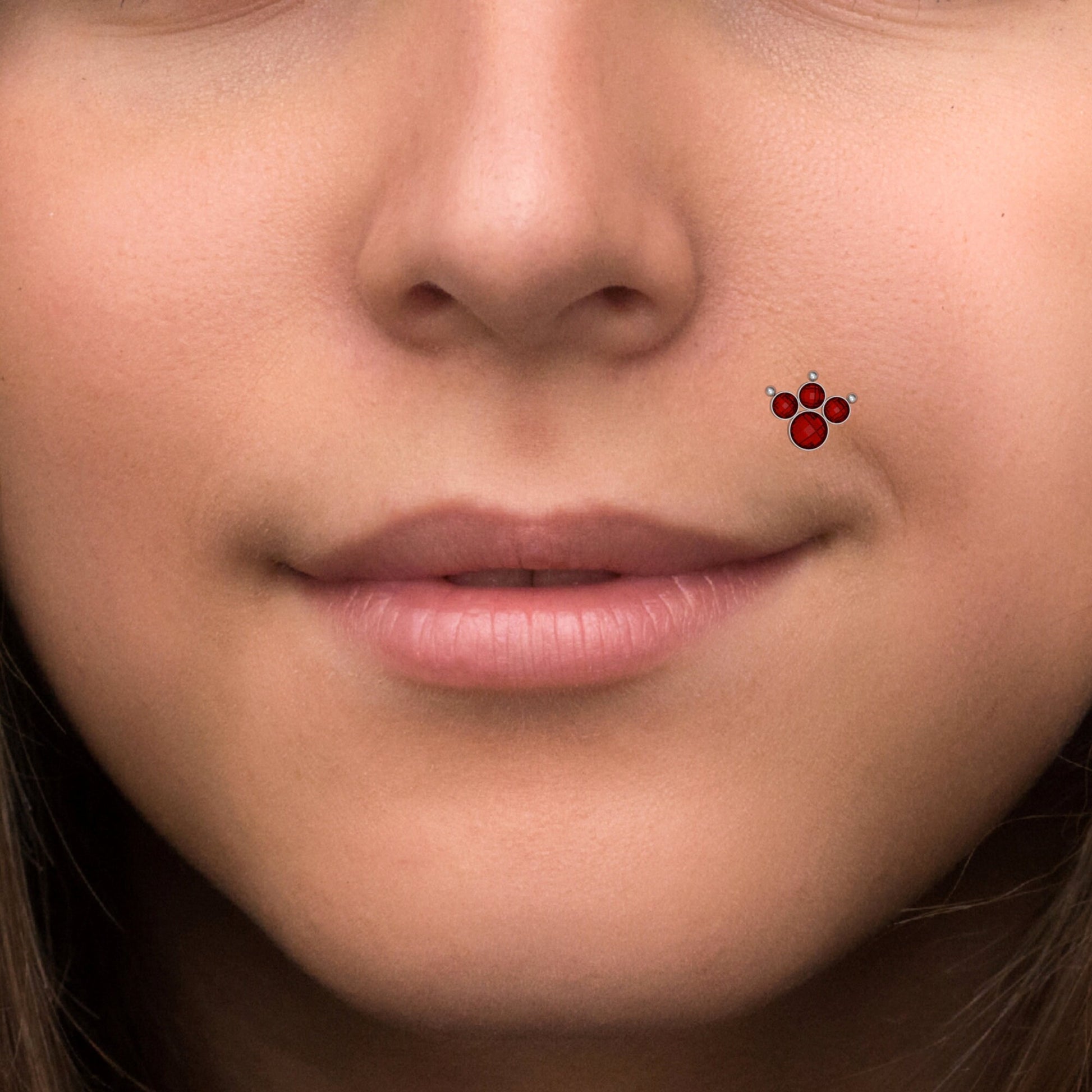 CZ Lip Labret - TitaniumFashion